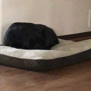 Meet your Posher, Brandy